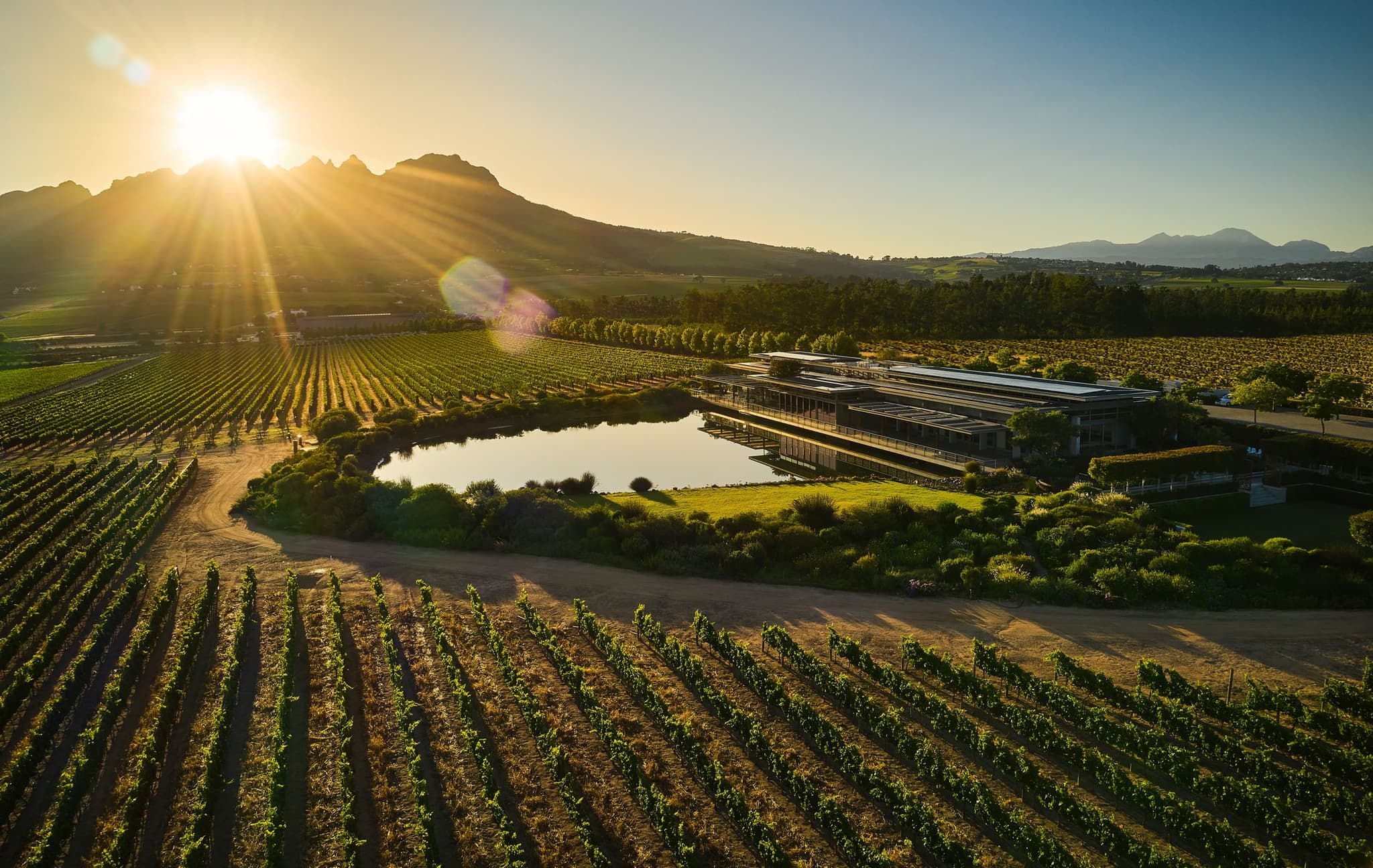Wine tasting at a Helderberg wine estate