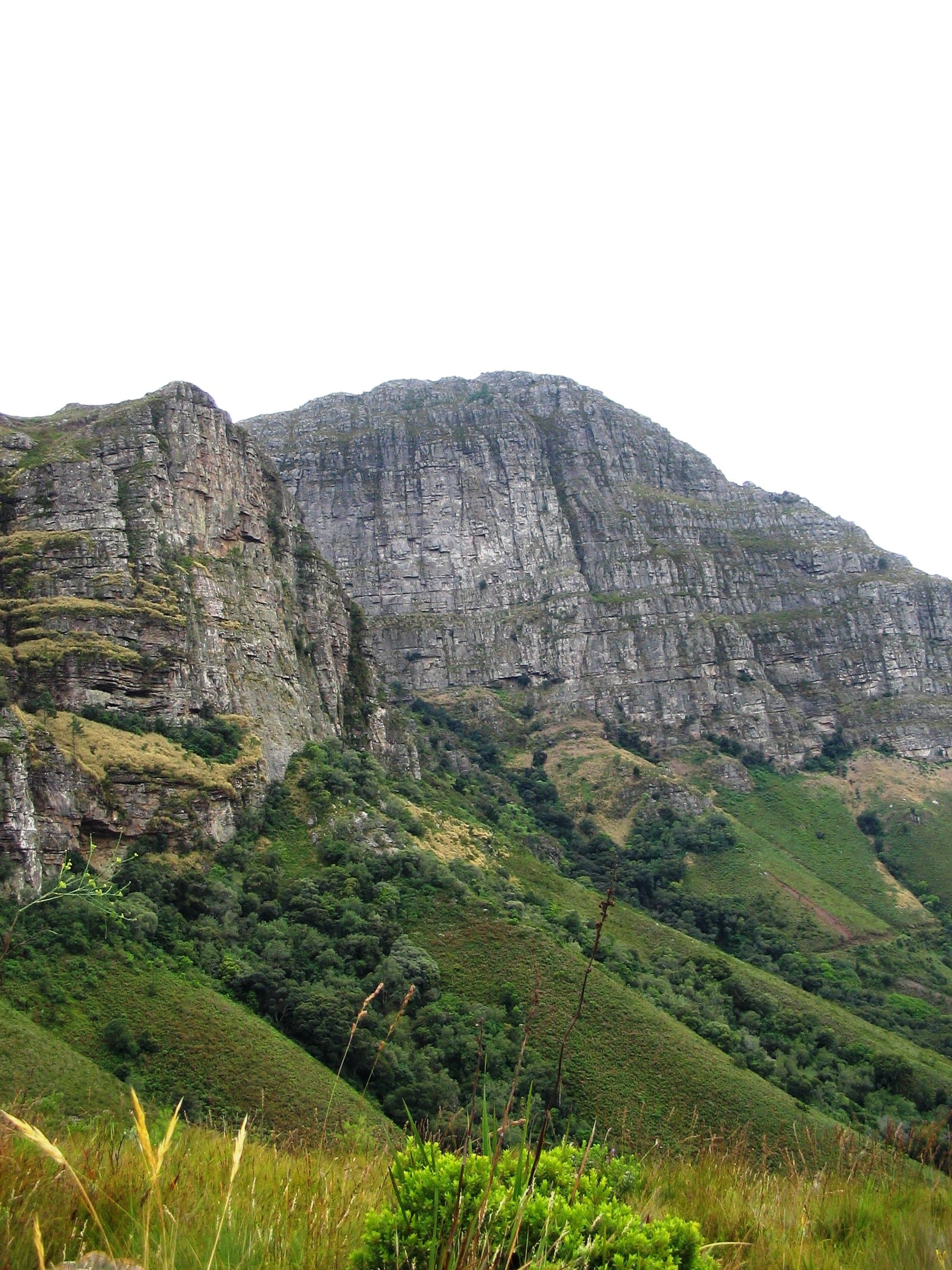 Hiking trail in Helderberg Nature Reserve